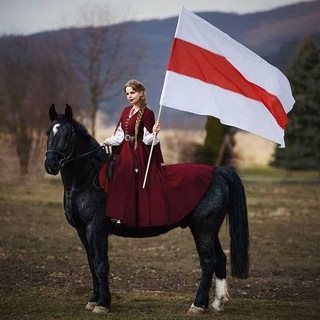 Сакартвело🇬🇪 - Беларусь⚪️🔴⚪️