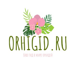 Orhigid.ru