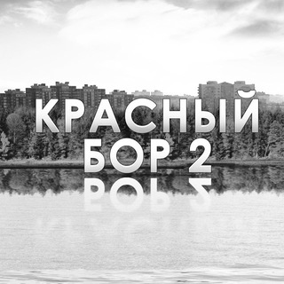 Красный Бор 2