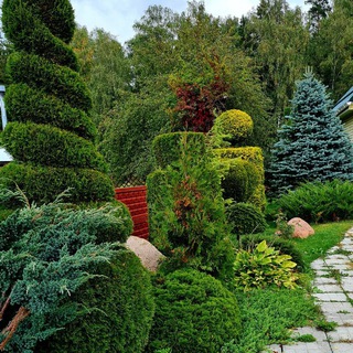 Создаем сад вашей мечты🌲🌳🌺