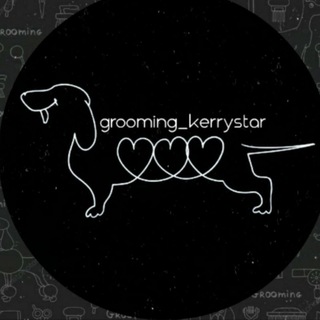 Стрижка собак и кошек в Минске - grooming_kerrystar